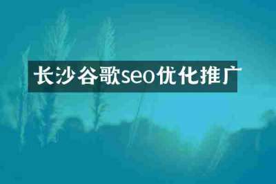 长沙谷歌seo优化推广