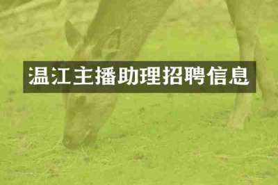 温江主播助理招聘信息
