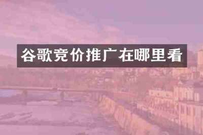 谷歌竞价推广在哪里看