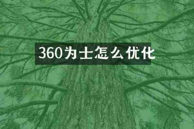 360为士怎么优化