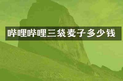 哔哩哔哩三袋麦子多少钱