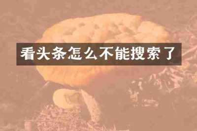 看头条怎么不能搜索了