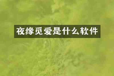 夜缘觅爱是什么软件