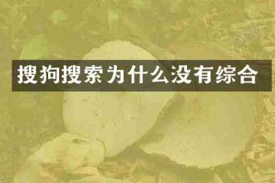 搜狗搜索为什么没有综合