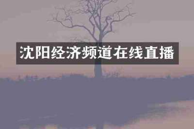 沈阳经济频道在线直播