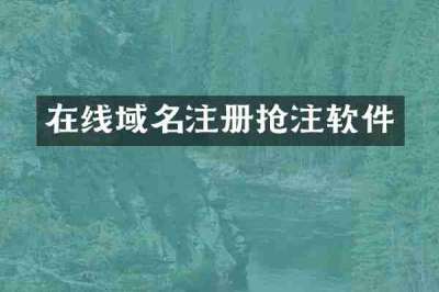 在线域名注册抢注软件