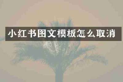 小红书图文模板怎么取消