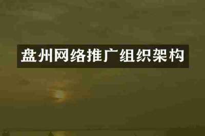 盘州网络推广组织架构