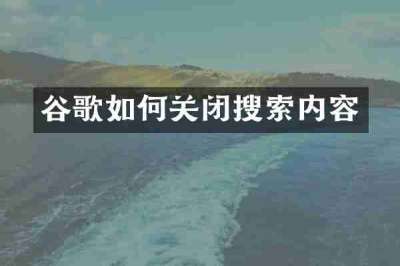 谷歌如何关闭搜索内容