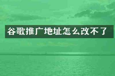 谷歌推广地址怎么改不了