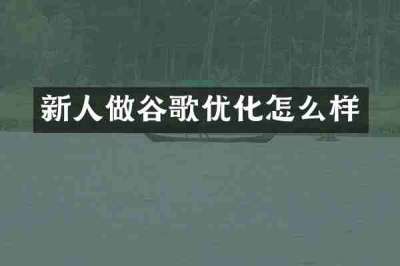 新人做谷歌优化怎么样
