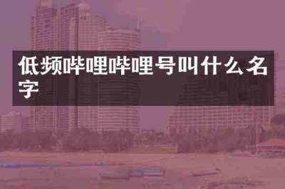 低频哔哩哔哩号叫什么名字