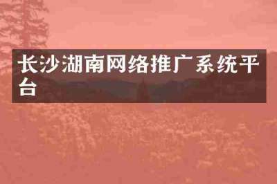 长沙湖南网络推广系统平台