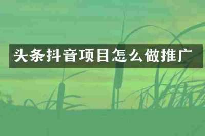 头条抖音项目怎么做推广