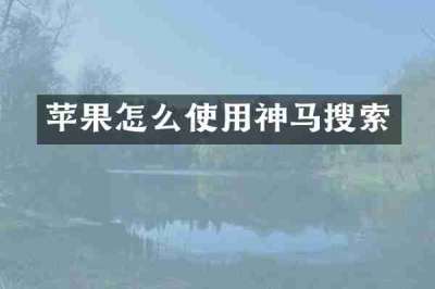 苹果怎么使用神马搜索