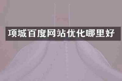 项城百度网站优化哪里好