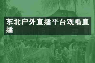 东北户外直播平台观看直播