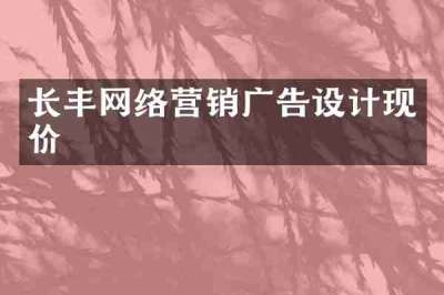 长丰网络营销广告设计现价