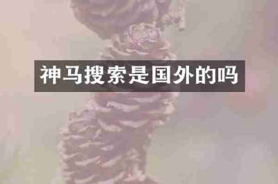 神马搜索是国外的吗