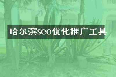 哈尔滨seo优化推广工具