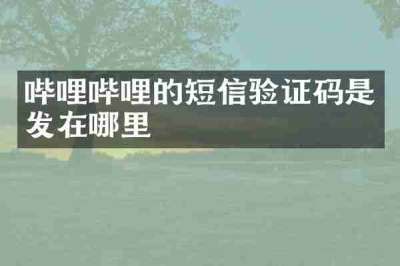 哔哩哔哩的短信验证码是发在哪里