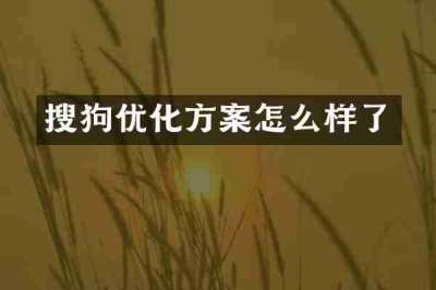 搜狗优化方案怎么样了