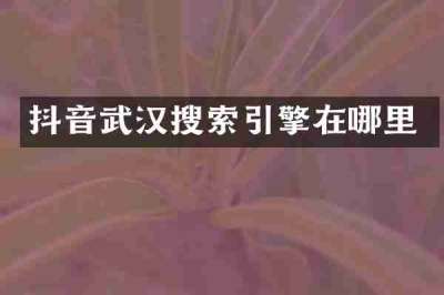 抖音武汉搜索引擎在哪里