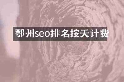 鄂州seo排名按天计费