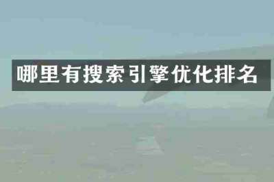 哪里有搜索引擎优化排名