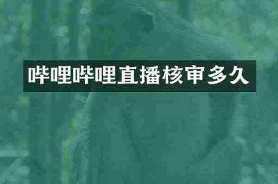 哔哩哔哩直播核审多久