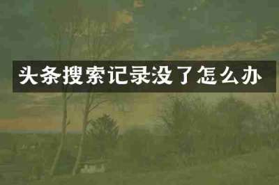 头条搜索记录没了怎么办