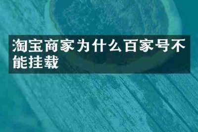 淘宝商家为什么百家号不能挂载