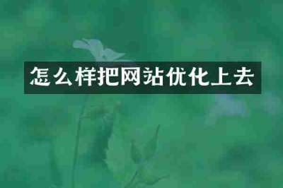 怎么样把网站优化上去