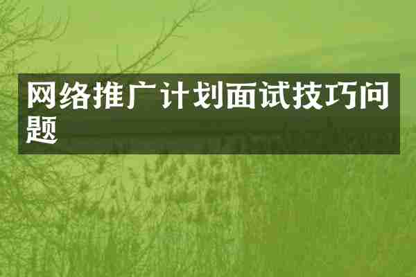 网络推广计划面试技巧问题