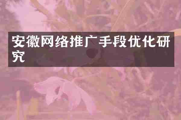 安徽网络推广手段优化研究