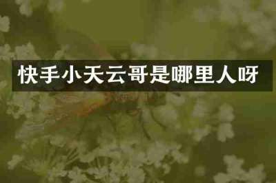 快手小天云哥是哪里人呀