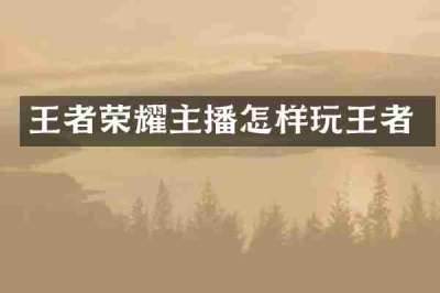 王者荣耀主播怎样玩王者