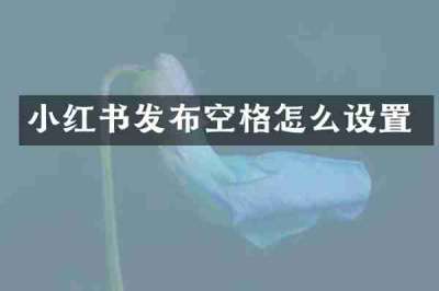 小红书发布空格怎么设置