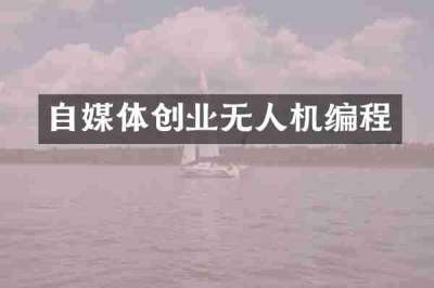 自媒体创业无人机编程