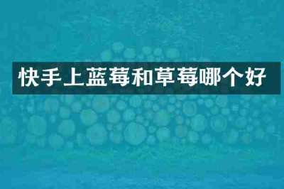 快手上蓝莓和草莓哪个好