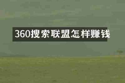 360搜索联盟怎样赚钱