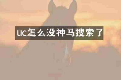 uc怎么没神马搜索了