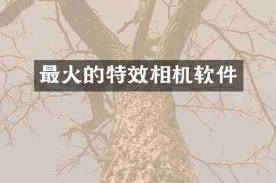 最火的特效相机软件