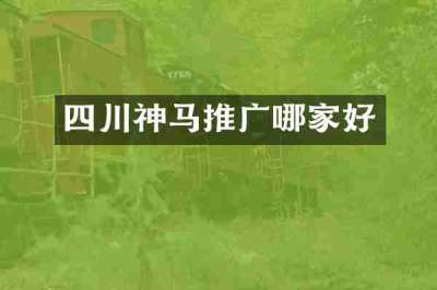 四川神马推广哪家好