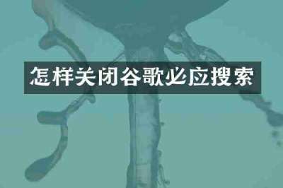 怎样关闭谷歌必应搜索