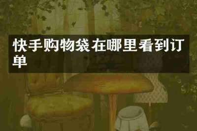 快手购物袋在哪里看到订单