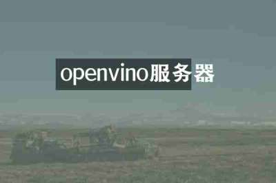 openvino服务器
