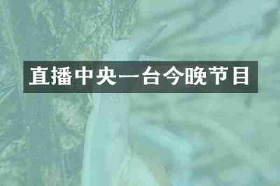 直播中央一台今晚节目