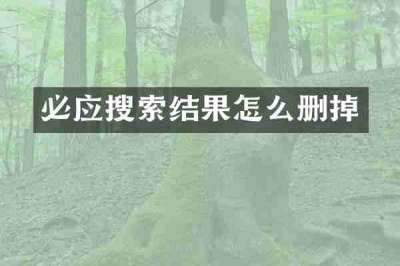 必应搜索结果怎么删掉