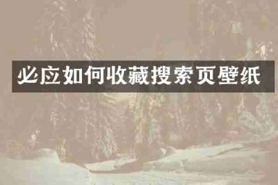 必应如何收藏搜索页壁纸